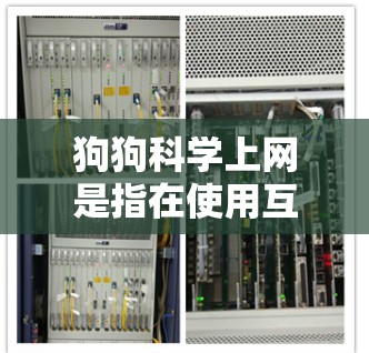 狗狗科学上网是指在使用互联网时遵循科学、安全和健康的原则和方法,确保它们的健康、保护家庭和社会安全。以下是关于狗狗科学上网的详细分析 狗狗科学上网是指在使用互联网时遵循科学、安全和健康的原则和方法,确保它们的健康、保护家庭和社会安全。以下是关于狗狗科学上网的详细分析