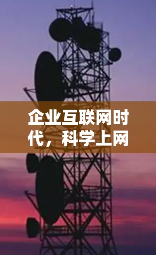 企业互联网时代,科学上网技术与发展的机遇与挑战 企业互联网时代,科学上网技术与发展的机遇与挑战