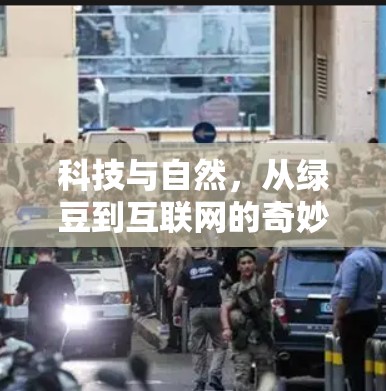科技与自然,从绿豆到互联网的奇妙旅程 科技与自然,从绿豆到互联网的奇妙旅程