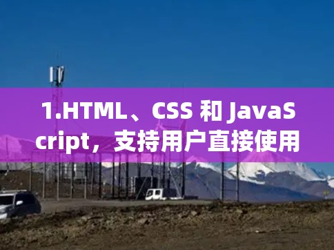 1.HTML、CSS 和 JavaScript，支持用户直接使用这些技术来构建网站，提供自由度和灵活性