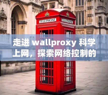 走进 wallproxy 科学上网，探索网络控制的高级功能