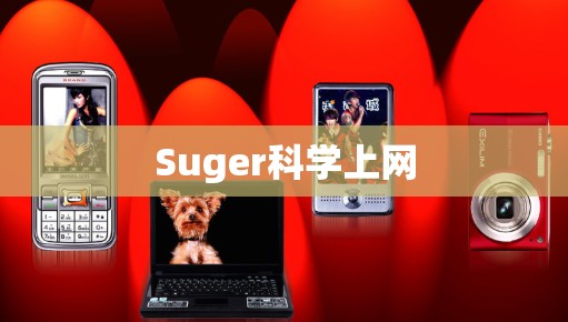 Suger科学上网