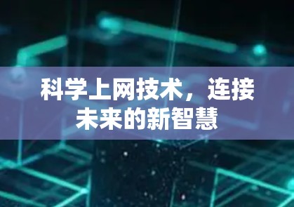 科学上网技术，连接未来的新智慧