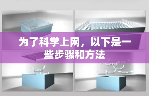 为了科学上网，以下是一些步骤和方法