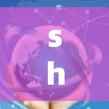 shawdowsocks科学上网，科技与生活完美融合