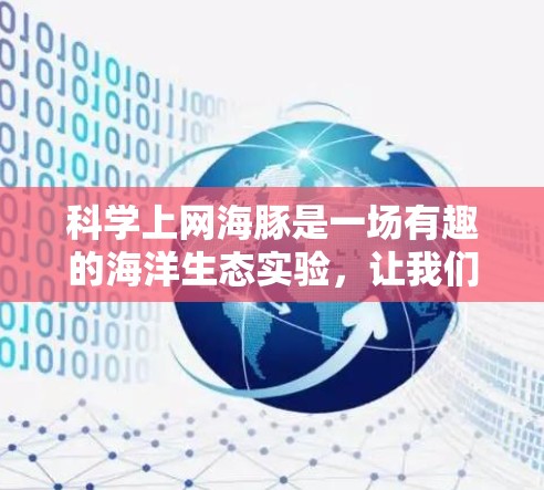科学上网海豚是一场有趣的海洋生态实验，让我们一起探索这个充满科技与自然的场景