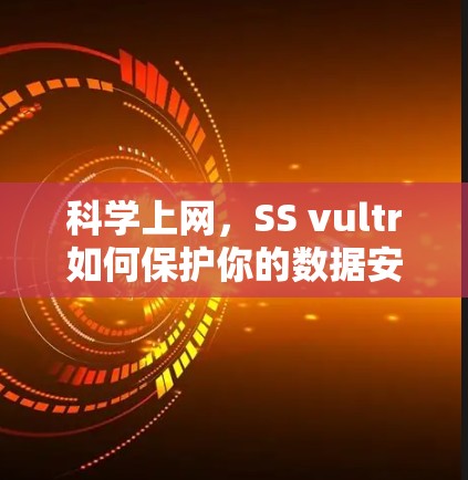 科学上网，SS vultr如何保护你的数据安全？
