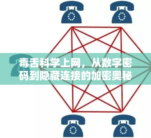 毒舌科学上网，从数字密码到隐藏连接的加密奥秘