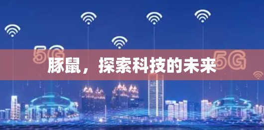 豚鼠,探索科技的未来 豚鼠,探索科技的未来