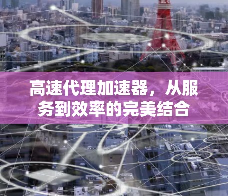高速代理加速器，从服务到效率的完美结合