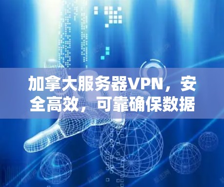 加拿大服务器VPN，安全高效，可靠确保数据传输安全