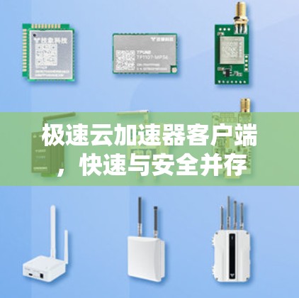 极速云加速器客户端，快速与安全并存