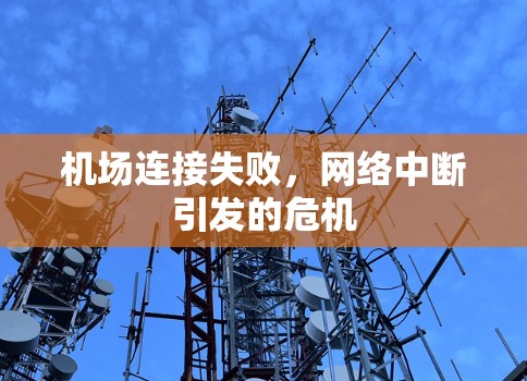 机场连接失败，网络中断引发的危机