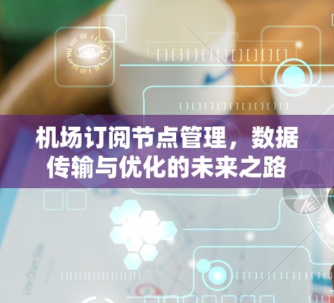 机场订阅节点管理，数据传输与优化的未来之路