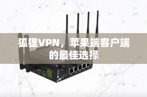 狐狸VPN，苹果端客户端的最佳选择
