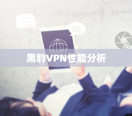 黑豹VPN性能分析