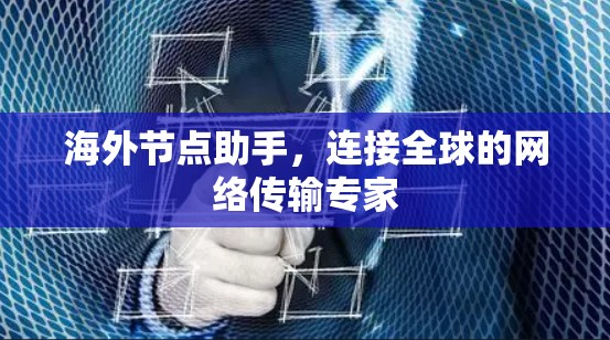 海外节点助手，连接全球的网络传输专家