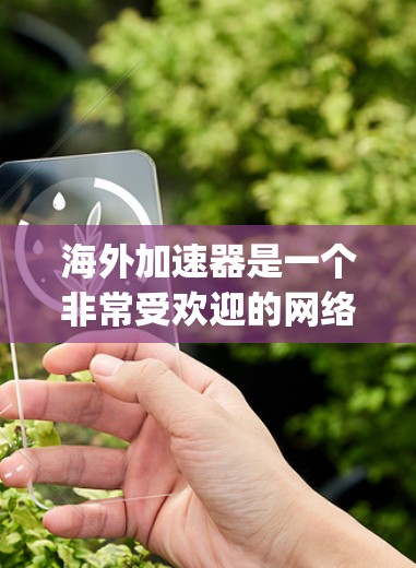 海外加速器是一个非常受欢迎的网络连接工具，可以帮助用户更快地连接到国际互联网。以下是一些 popular 的海外加速器推荐，涵盖了多种功能和性能特点