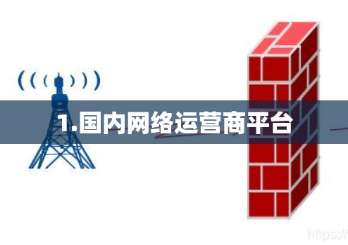 1.国内网络运营商平台
