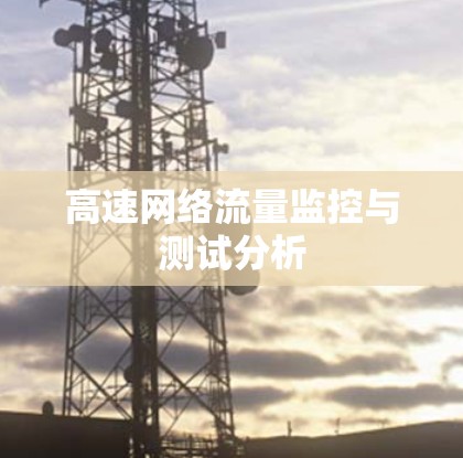 高速网络流量监控与测试分析