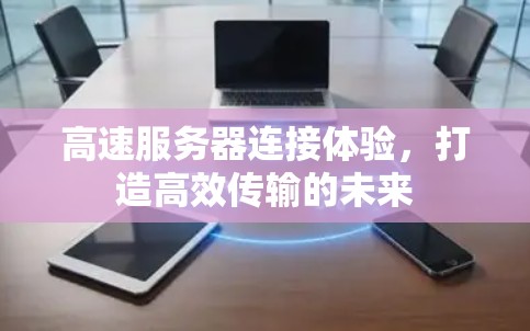 高速服务器连接体验，打造高效传输的未来
