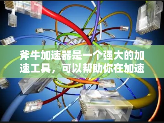 斧牛加速器是一个强大的加速工具，可以帮助你在加速器上设置各种参数，包括请求参数和处理参数，以优化游戏加载速度。以下是关于如何优化斧牛加速器的设置步骤