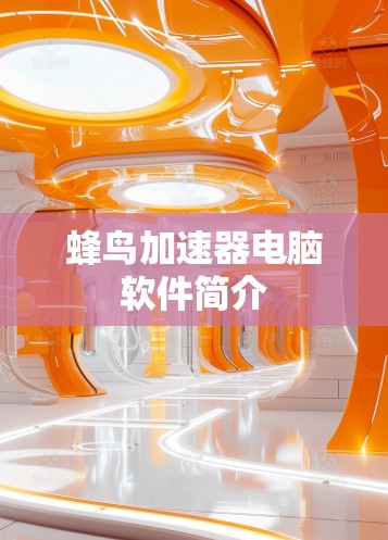 蜂鸟加速器电脑软件简介