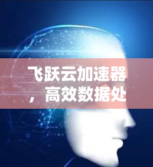 飞跃云加速器，高效数据处理，提升计算性能