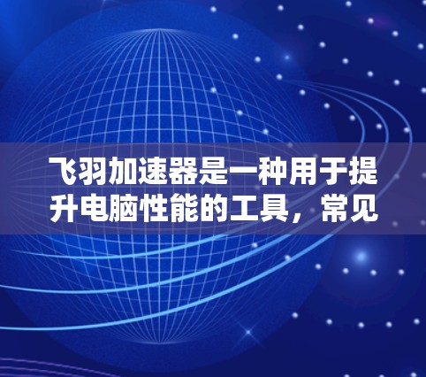 飞羽加速器是一种用于提升电脑性能的工具，常见于电脑上。以下是使用飞羽加速器的电脑版的操作步骤