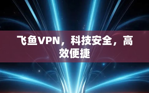飞鱼VPN，科技安全，高效便捷
