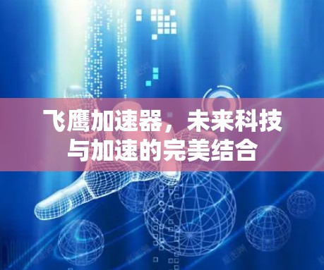 飞鹰加速器，未来科技与加速的完美结合