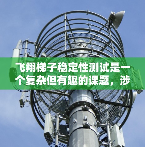 飞翔梯子稳定性测试是一个复杂但有趣的课题，涉及多个领域的知识和技能。以下是对这个过程的详细分析
