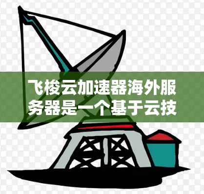 飞梭云加速器海外服务器是一个基于云技术的加速服务，旨在提升服务器的运行效率和性能。以下是对该服务在海外服务器上的使用流程和配置的详细指南
