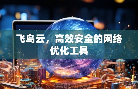 飞鸟云，高效安全的网络优化工具