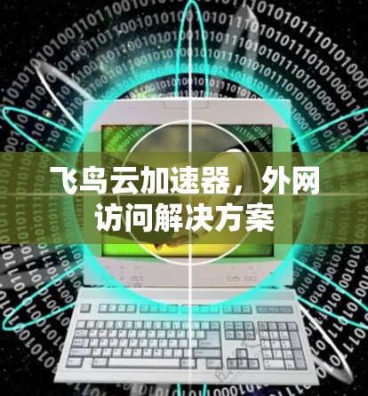 飞鸟云加速器，外网访问解决方案