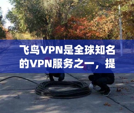 飞鸟VPN是全球知名的VPN服务之一，提供高速、安全的VPN体验。它是一个跨平台的软件，支持多种视频解密方式，包括18p、72p、48p、21p等。以下是关于飞鸟VPN的详细介绍