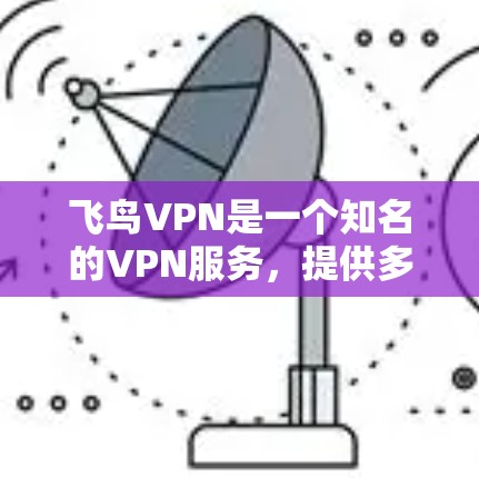 飞鸟VPN是一个知名的VPN服务，提供多种VPN类型和选项，包括经典版、经典版2、飞鸟版和飞鸟版2。以下是使用飞鸟VPN的基本步骤和注意事项
