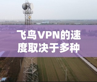 飞鸟VPN的速度取决于多种因素，包括你的设备配置、使用速率控制、以及是否优化了加密和安全设置。以下是一些关于飞鸟VPN速度体验的常见问题的解答