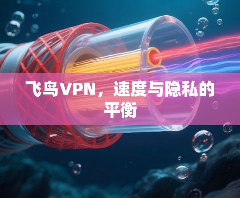 飞鸟VPN，速度与隐私的平衡