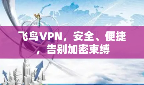 飞鸟VPN，安全、便捷，告别加密束缚