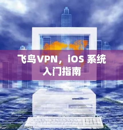 飞鸟VPN，iOS 系统入门指南