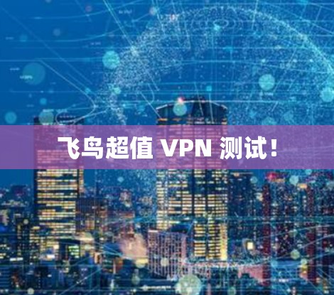 飞鸟超值 VPN 测试！