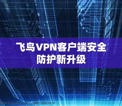 飞鸟VPN客户端安全防护新升级