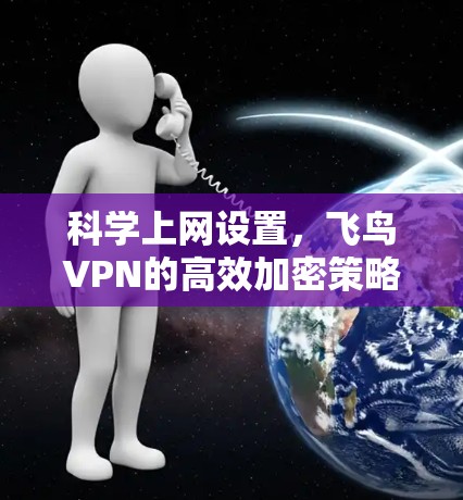 科学上网设置，飞鸟VPN的高效加密策略
