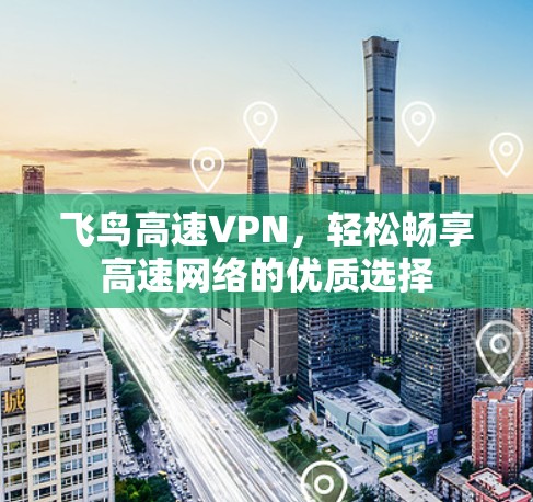 飞鸟高速VPN，轻松畅享高速网络的优质选择