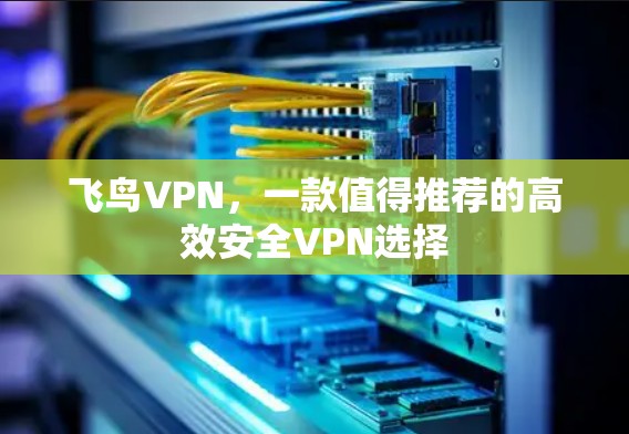飞鸟VPN，一款值得推荐的高效安全VPN选择