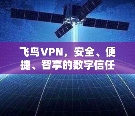飞鸟VPN，安全、便捷、智享的数字信任