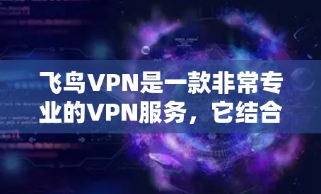 飞鸟VPN是一款非常专业的VPN服务，它结合了加密技术和强大的安全功能，让用户能够轻松保护自己的网络和数据。以下是飞鸟VPN的主要功能介绍