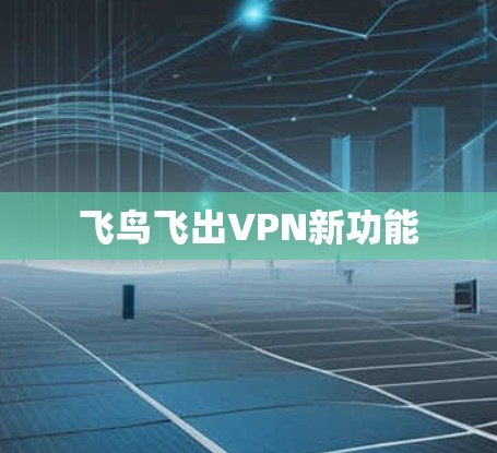 飞鸟飞出VPN新功能