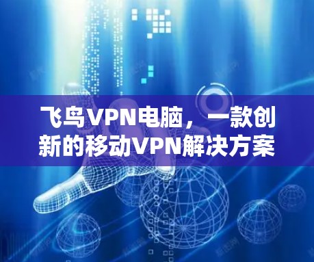 飞鸟VPN电脑，一款创新的移动VPN解决方案